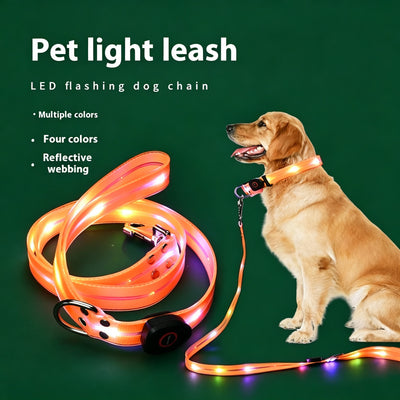 LED Light‑Up Dog Collar & Leash Set, Night Safety Walking Gear for Pets