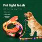 LED Light‑Up Dog Collar & Leash Set, Night Safety Walking Gear for Pets