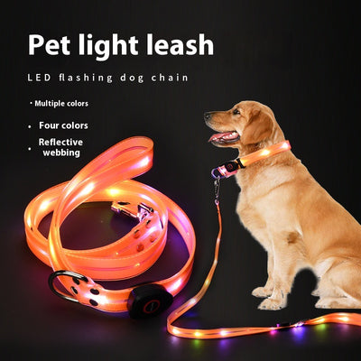LED Light‑Up Dog Collar & Leash Set, Night Safety Walking Gear for Pets
