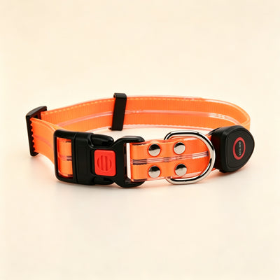 LED Light‑Up Dog Collar & Leash Set, Night Safety Walking Gear for Pets
