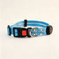 LED Light‑Up Dog Collar & Leash Set, Night Safety Walking Gear for Pets